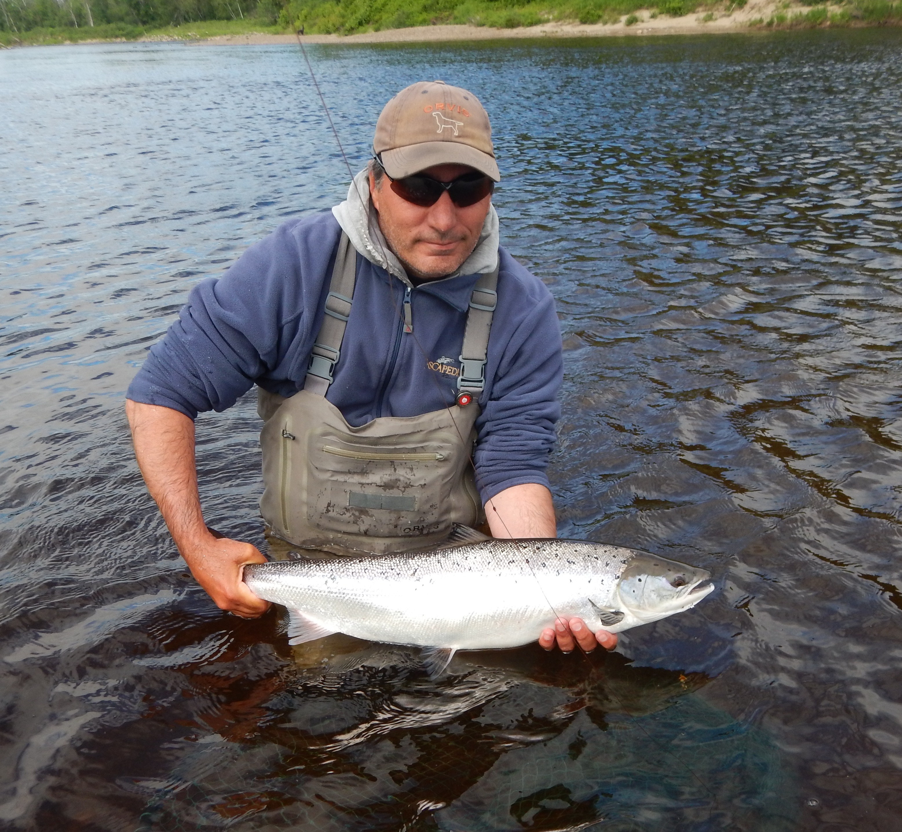 January 2020 Miramichi Salmon Blog - Giver on the River