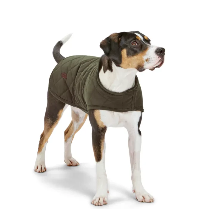 Orvis Dog Jacket by Gokey Handmade in USA LS